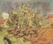 Vincent Van Gogh Landscape with Three and a House (nn04) oil painting reproduction